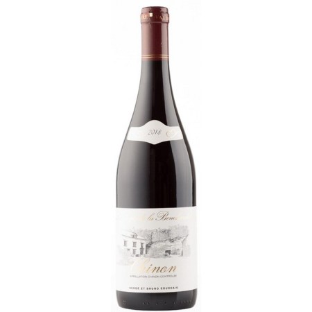 Le Logis de la Bouchardiere Chinon