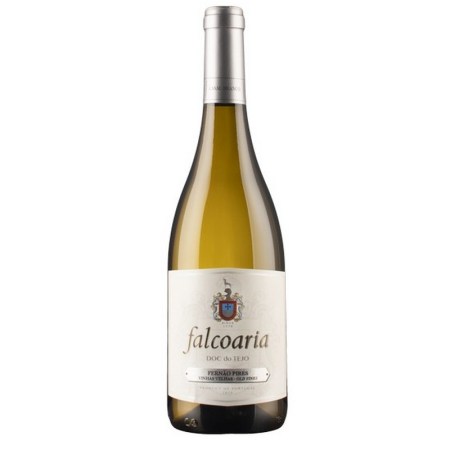 Falcoaria Fernao Pires Branco Tejo