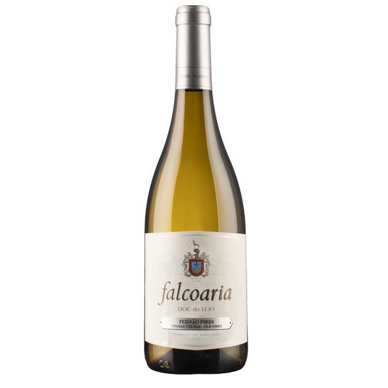 Falcoaria Fernao Pires Branco Tejo