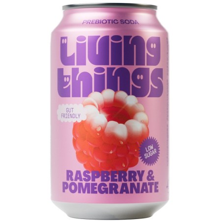 Living Things Soda Raspberry & Pomegranate Can 330ml